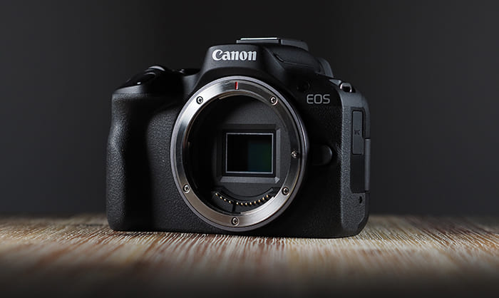 Canon EOS R50 không chỉ mạnh về ảnh tĩnh mà còn ghi điểm ở mảng video